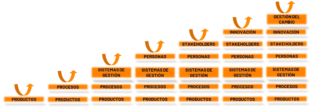 Niveles de implementación de sistemas de calidad